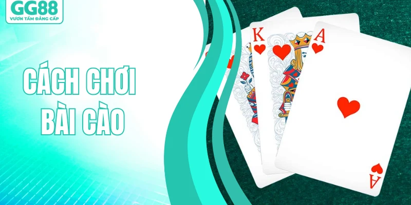 C&aacute;ch Chơi B&agrave;i C&agrave;o - Kiến Thức C&aacute; Cược Cơ Bản Cho Người Mới